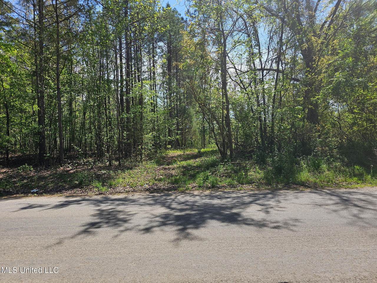 600 County Rd. 431 - Photo 1