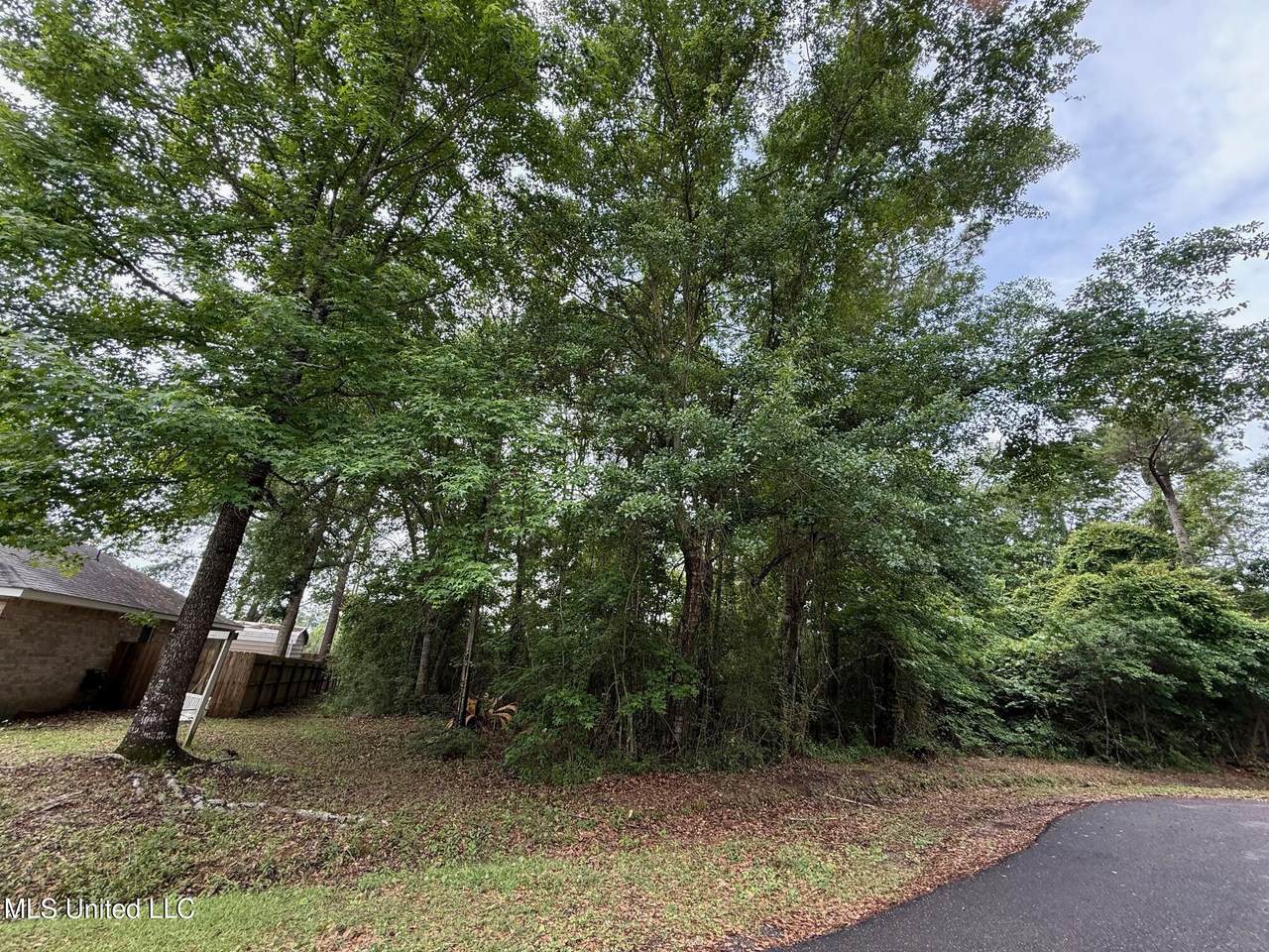 6824 Apona Street - Photo 1