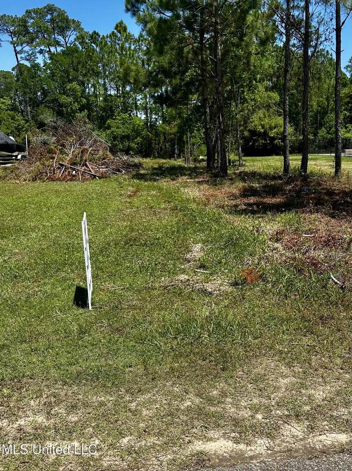 512 Sandy Hook Drive - Photo 1