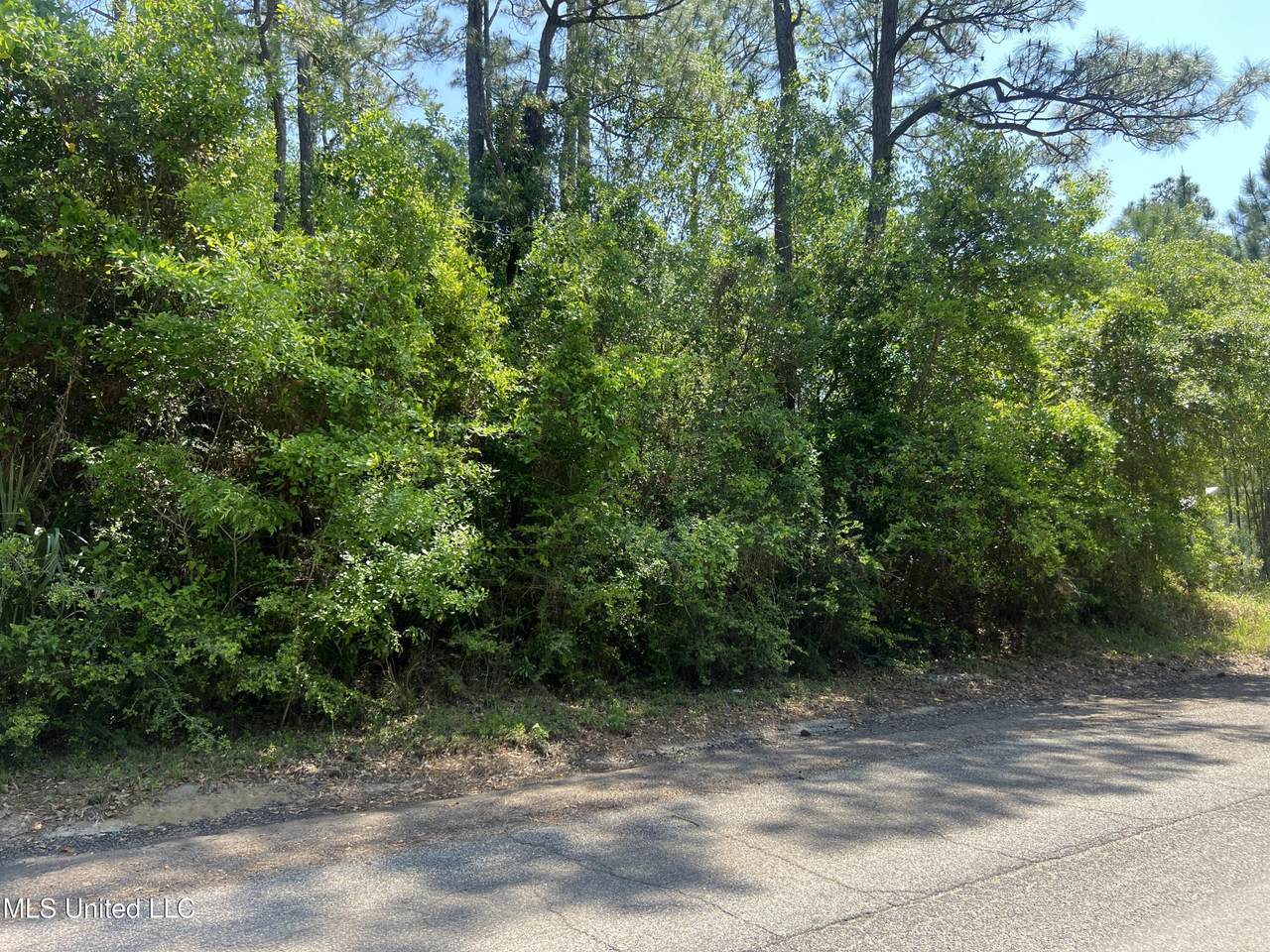 322 Wittman Avenue - Photo 1