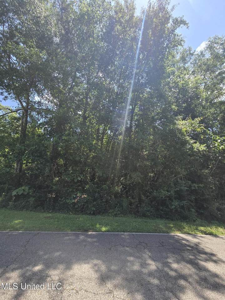 227 Sunnybrook Road - Photo 1