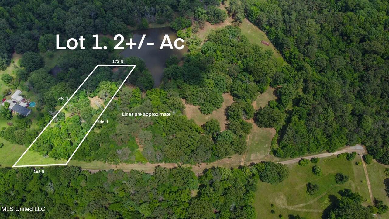 Lot 1 Woodlawn Road - Photo 1