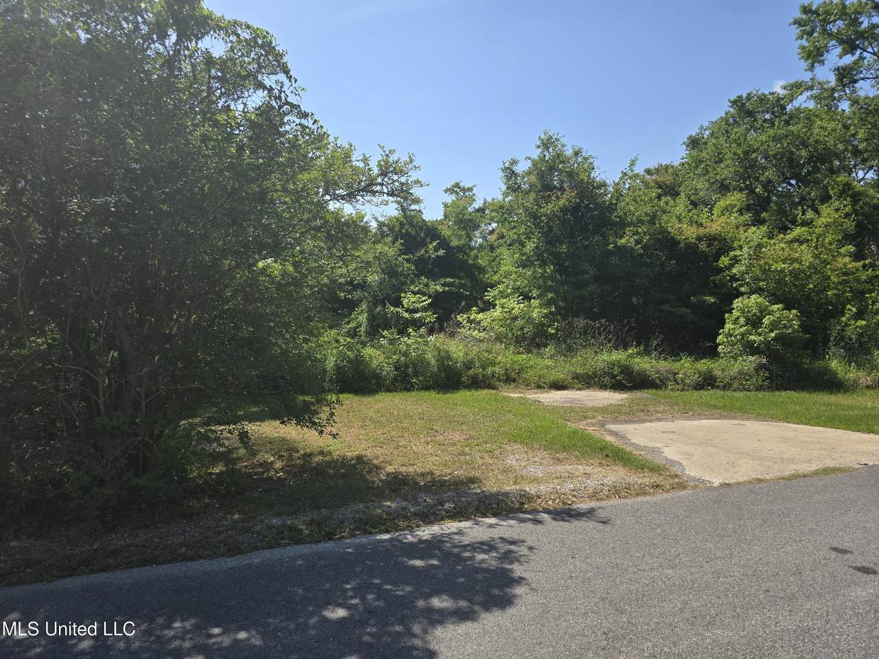 1003 Mantou Street - Photo 1