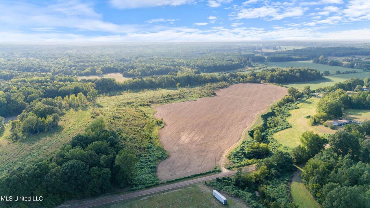 15.58 Ac Pearl Smith Road - Photo 1