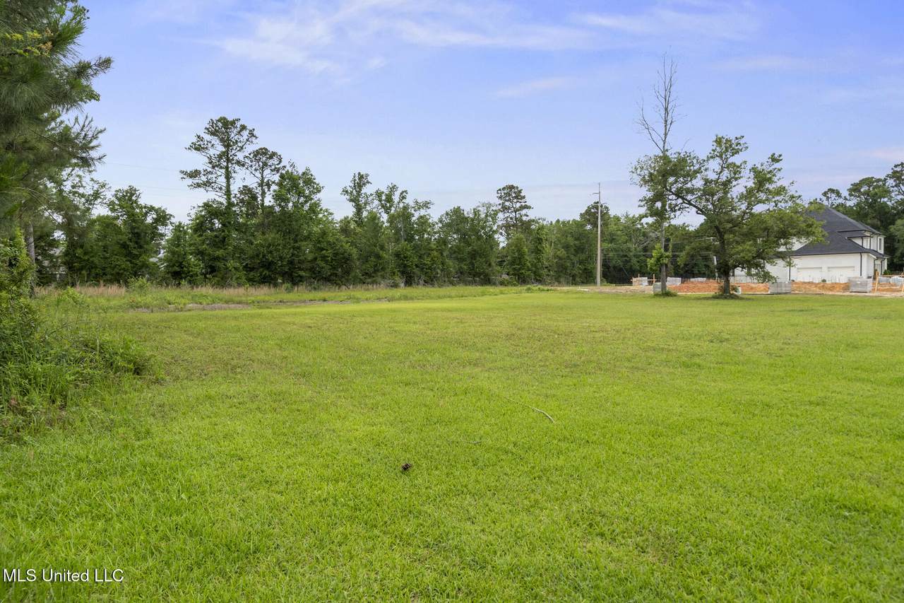 00 Savannah Estates Boulevard - Photo 1