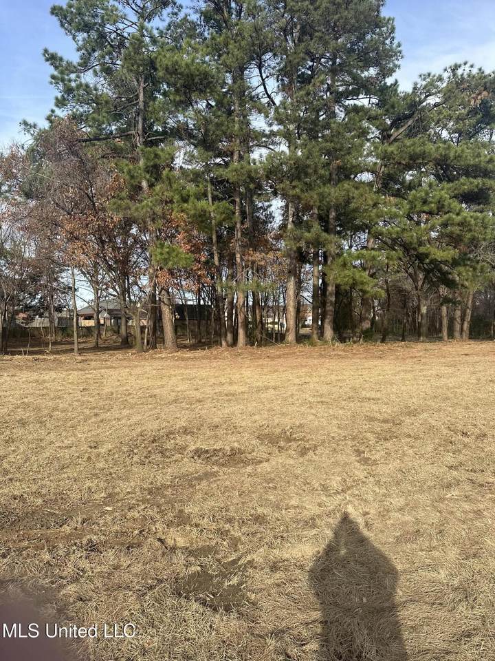 Lot 2 Hamilton Circle - Photo 1