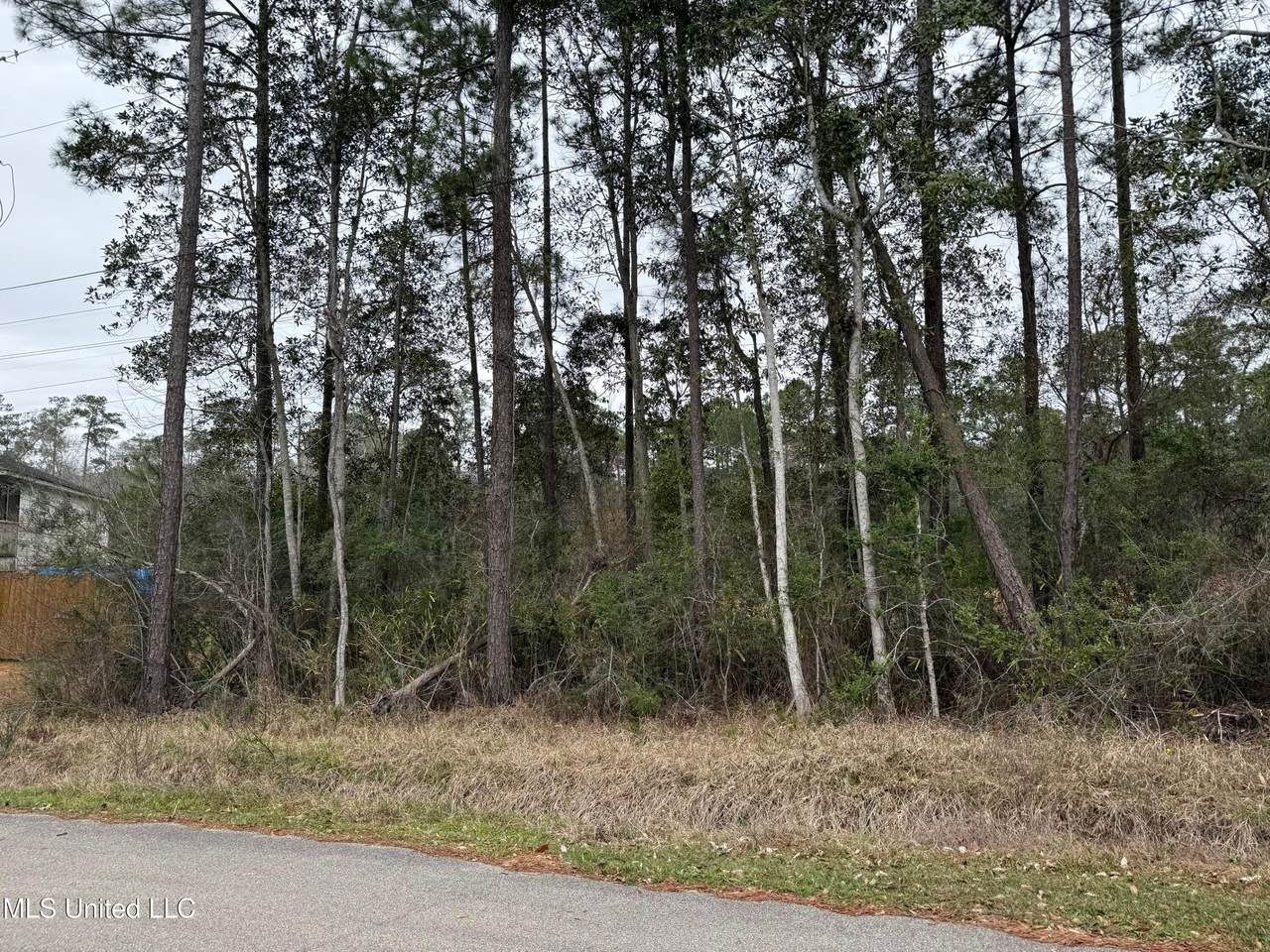 10713 Lilinoe Way - Photo 1