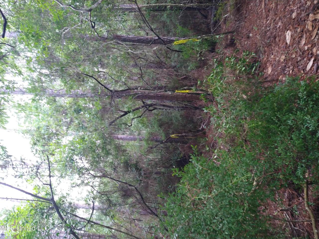 0 Hilda Street - Photo 1