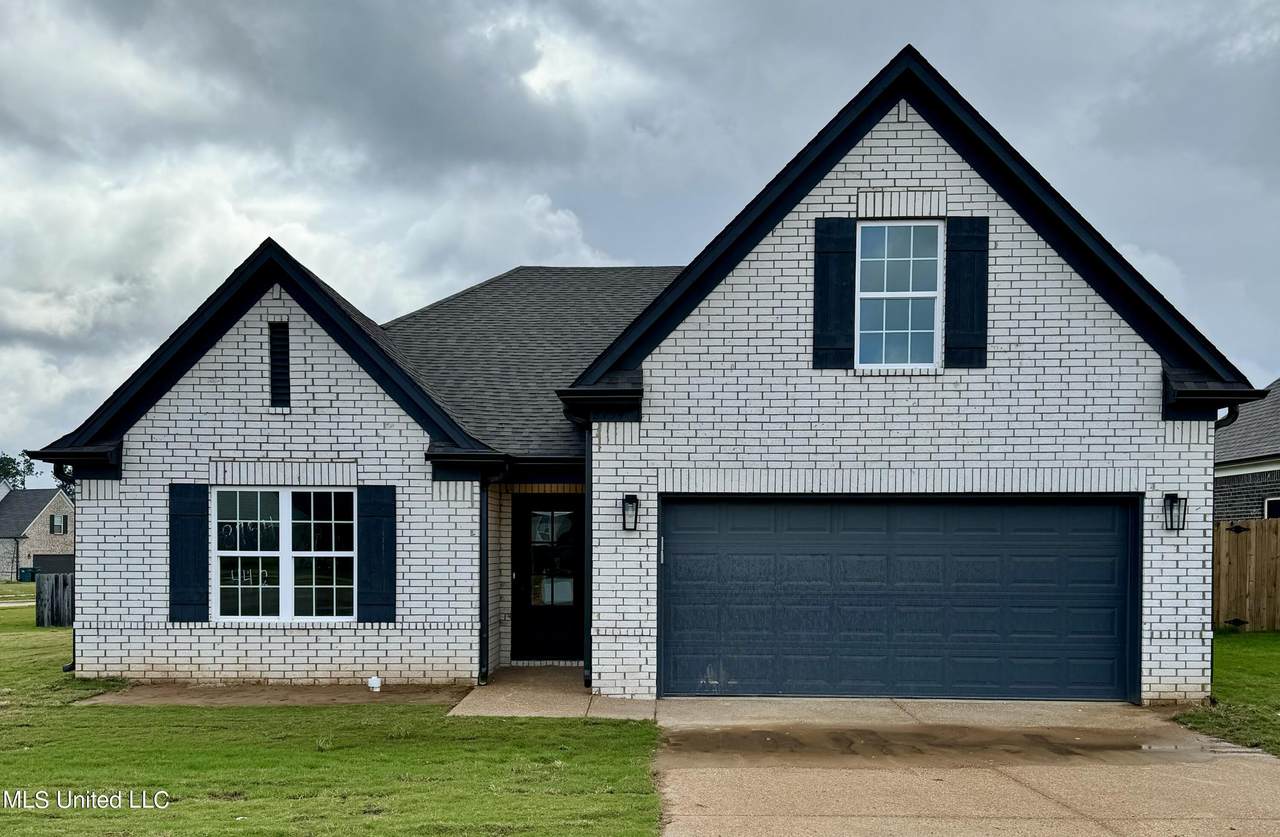 8849 Mookie Drive - Photo 1