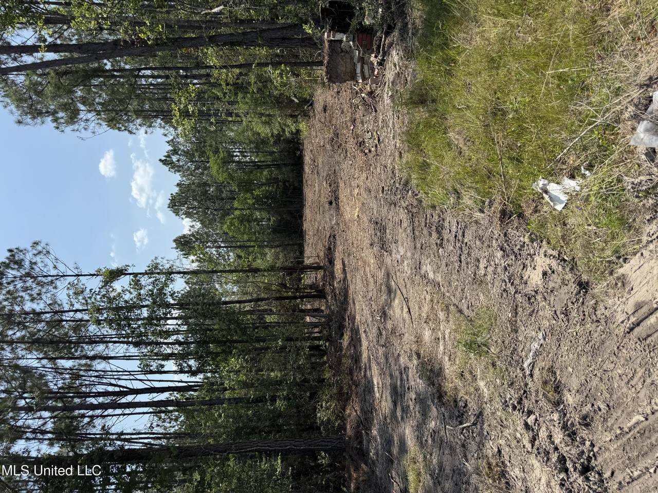 23445 Hwy 603 - Photo 1