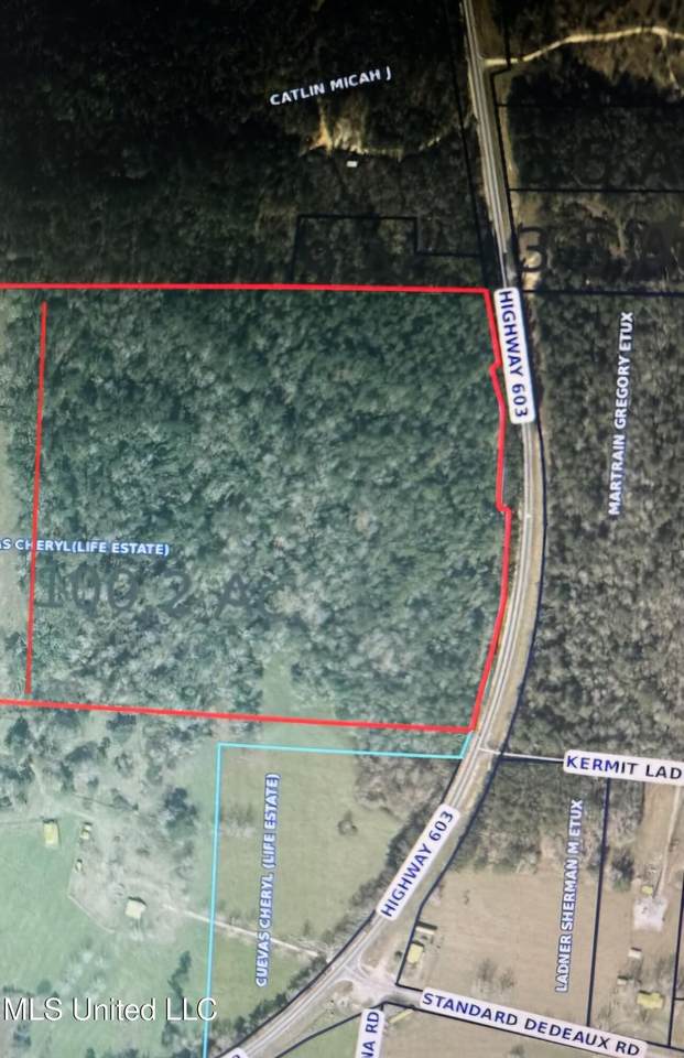  Highway 603 - Photo 1