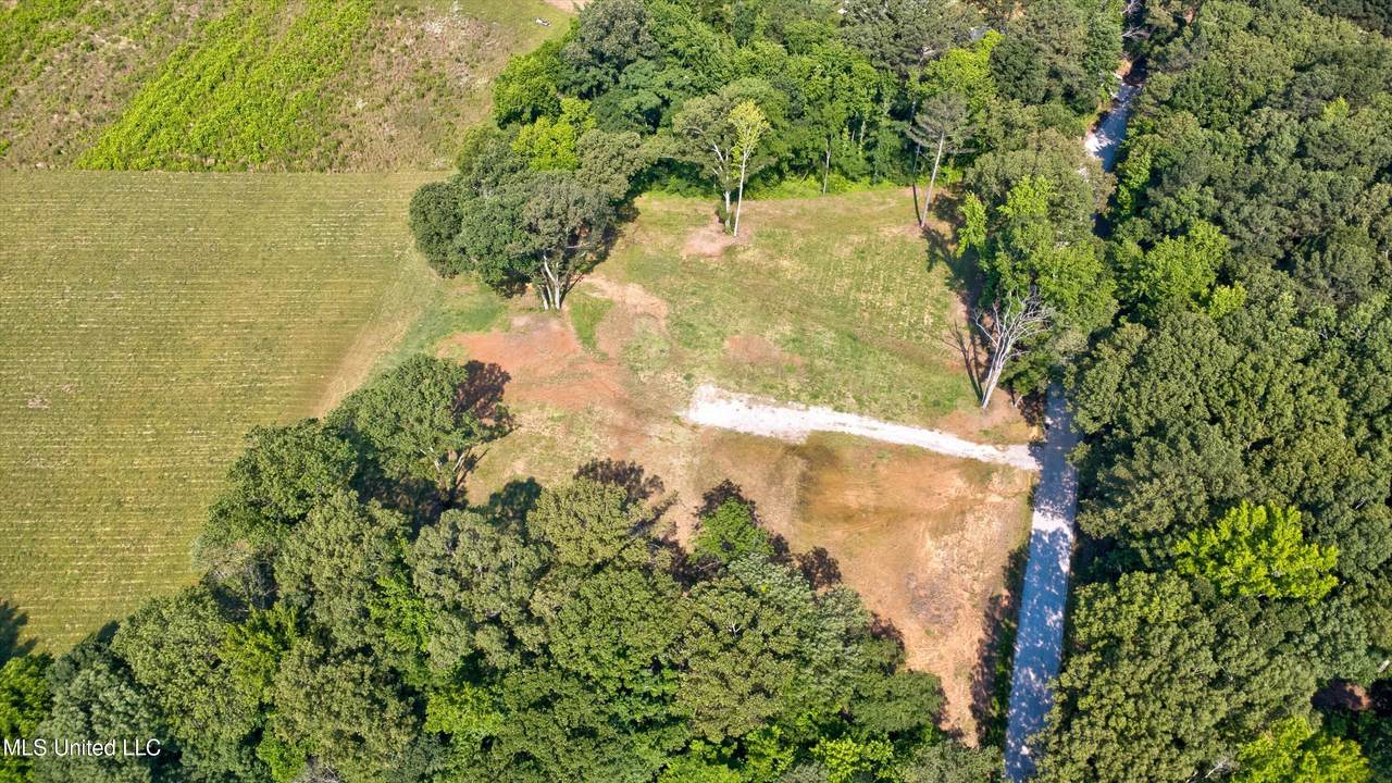 2069 Hogan Road - Photo 1