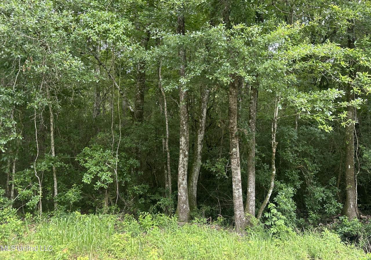 22290 Old Hwy 49 - Photo 1