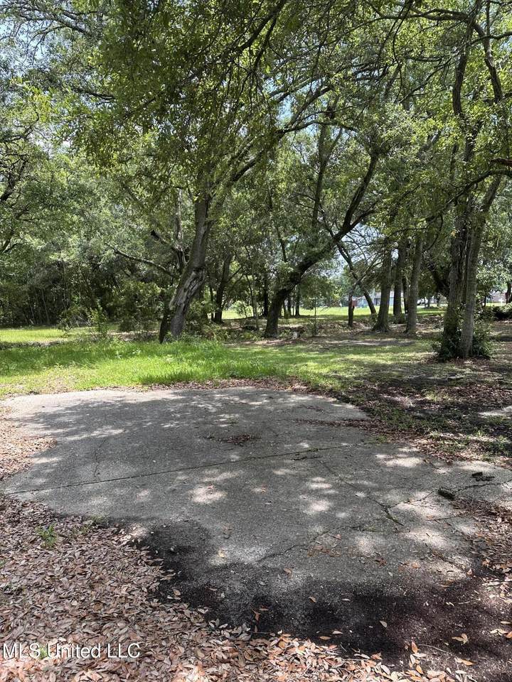 4611 Fisher Avenue - Photo 1