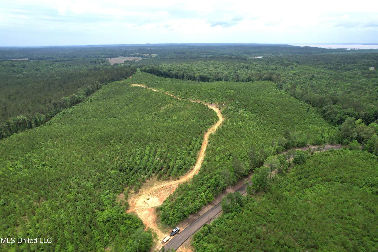  Alice Williams Road - Photo 1