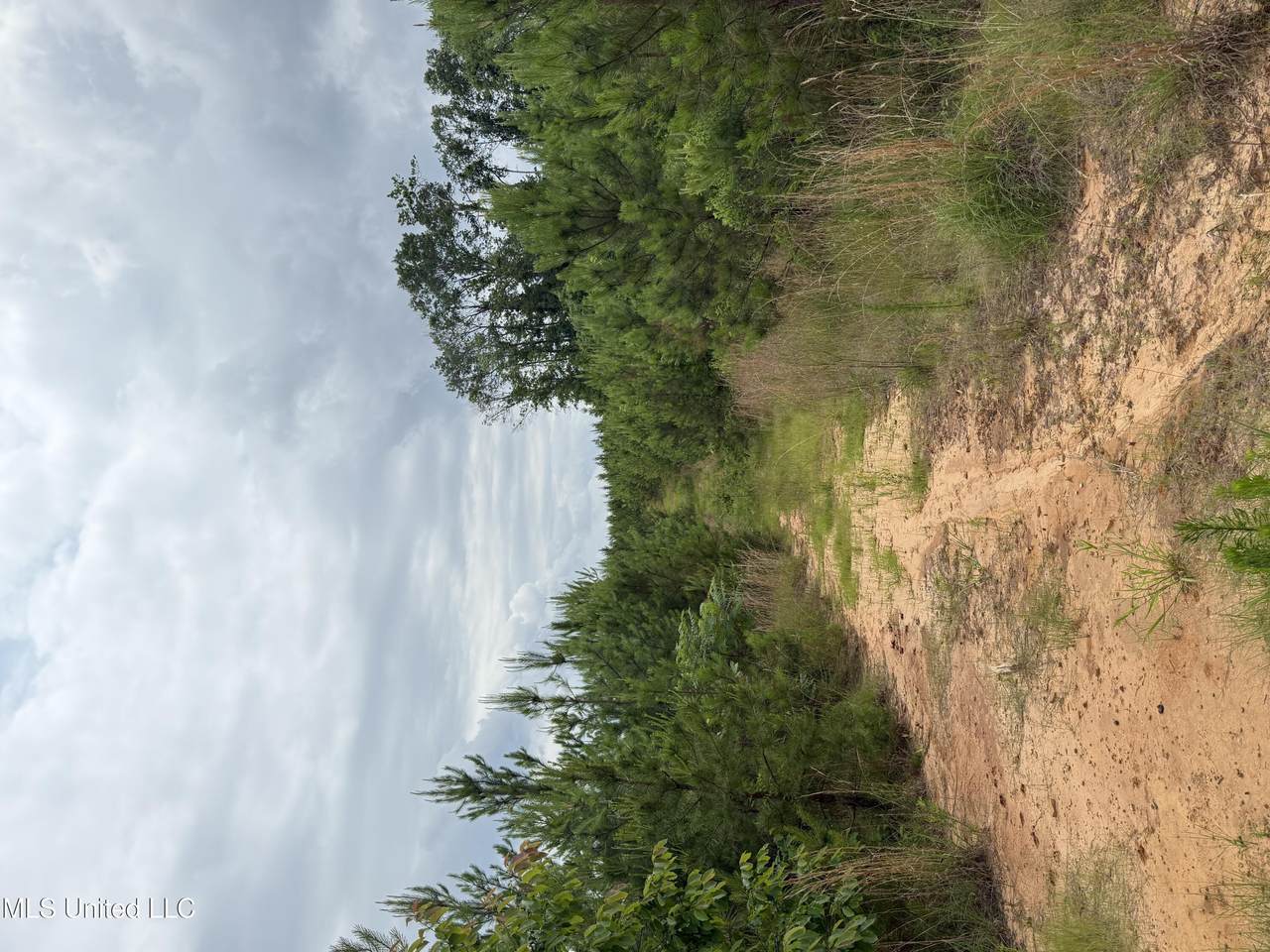  Dividing Ridge Road - Photo 1