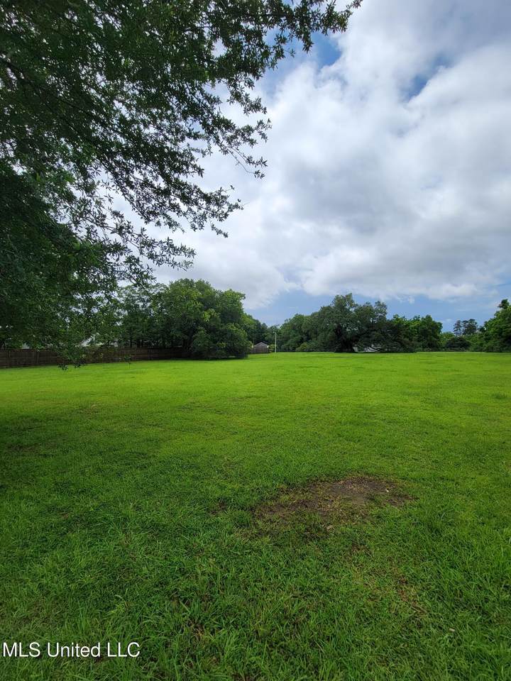 13028 Alta Vida Court - Photo 1