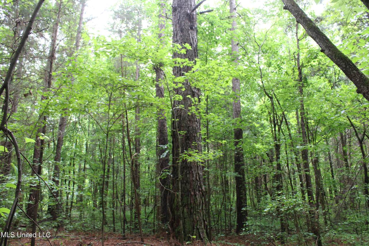 600 Jessie's Road - Photo 1