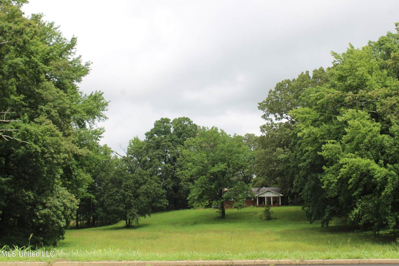 8484 Goodman Road - Photo 1