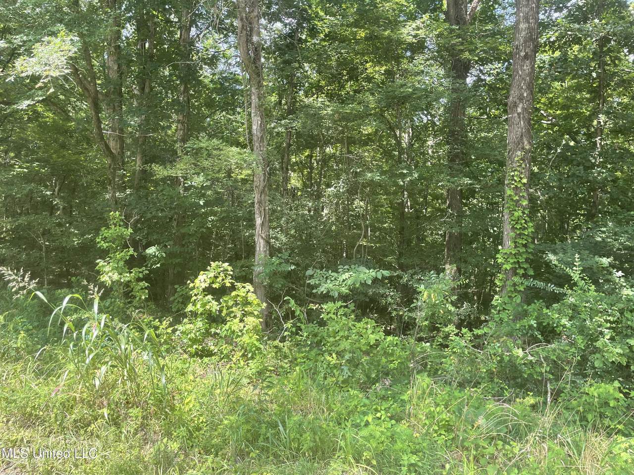 Magnolia Circle - Photo 1