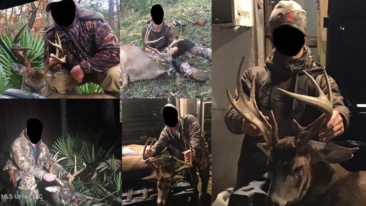 298 Crescent Road - Photo 1