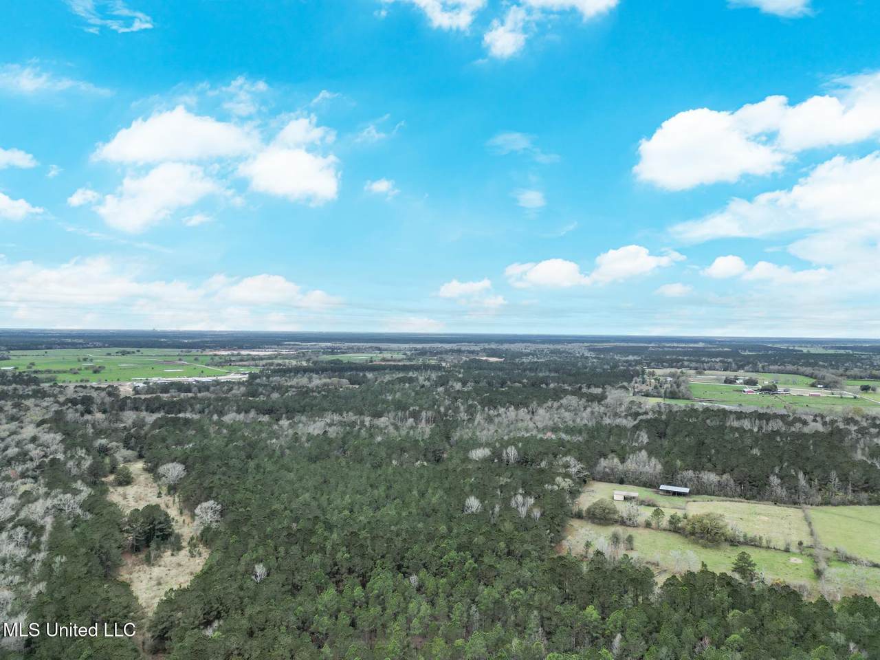  Highway 43 Parcel 1 - Photo 1
