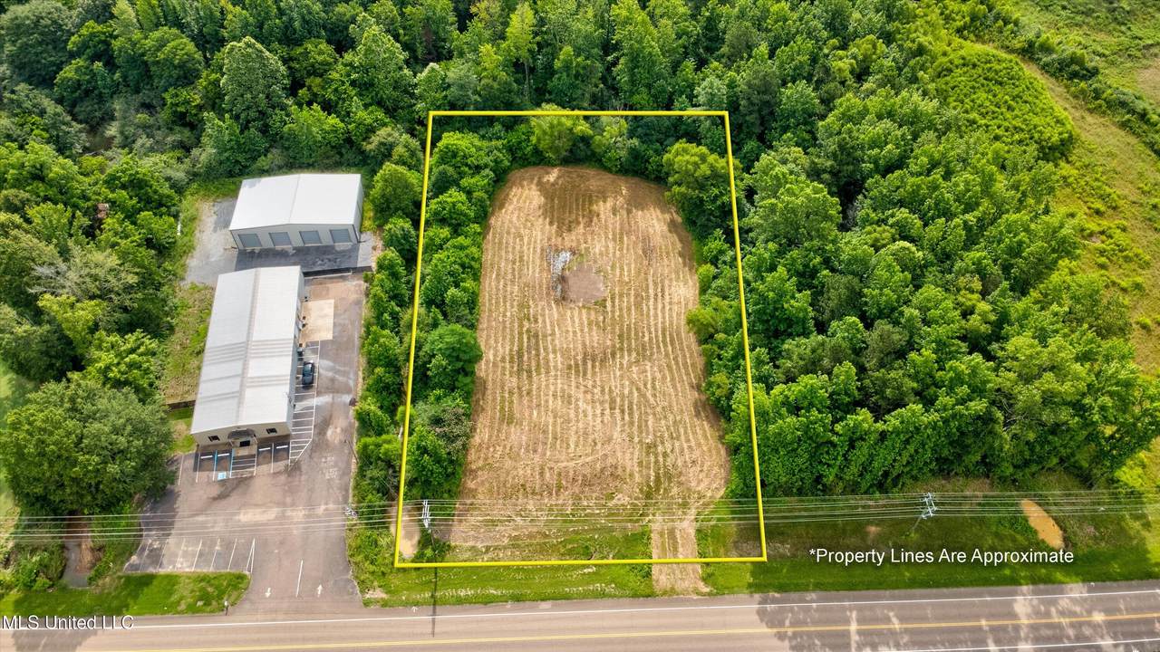 1.4 Acres Scott Street - Photo 1