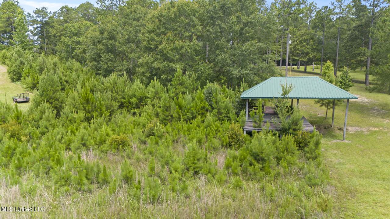  Burnt Pine Road - Photo 1