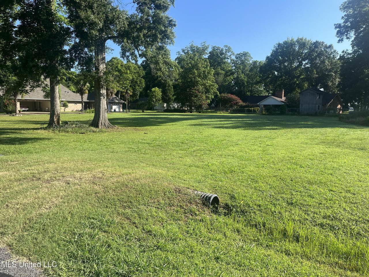  Panola Drive - Photo 1