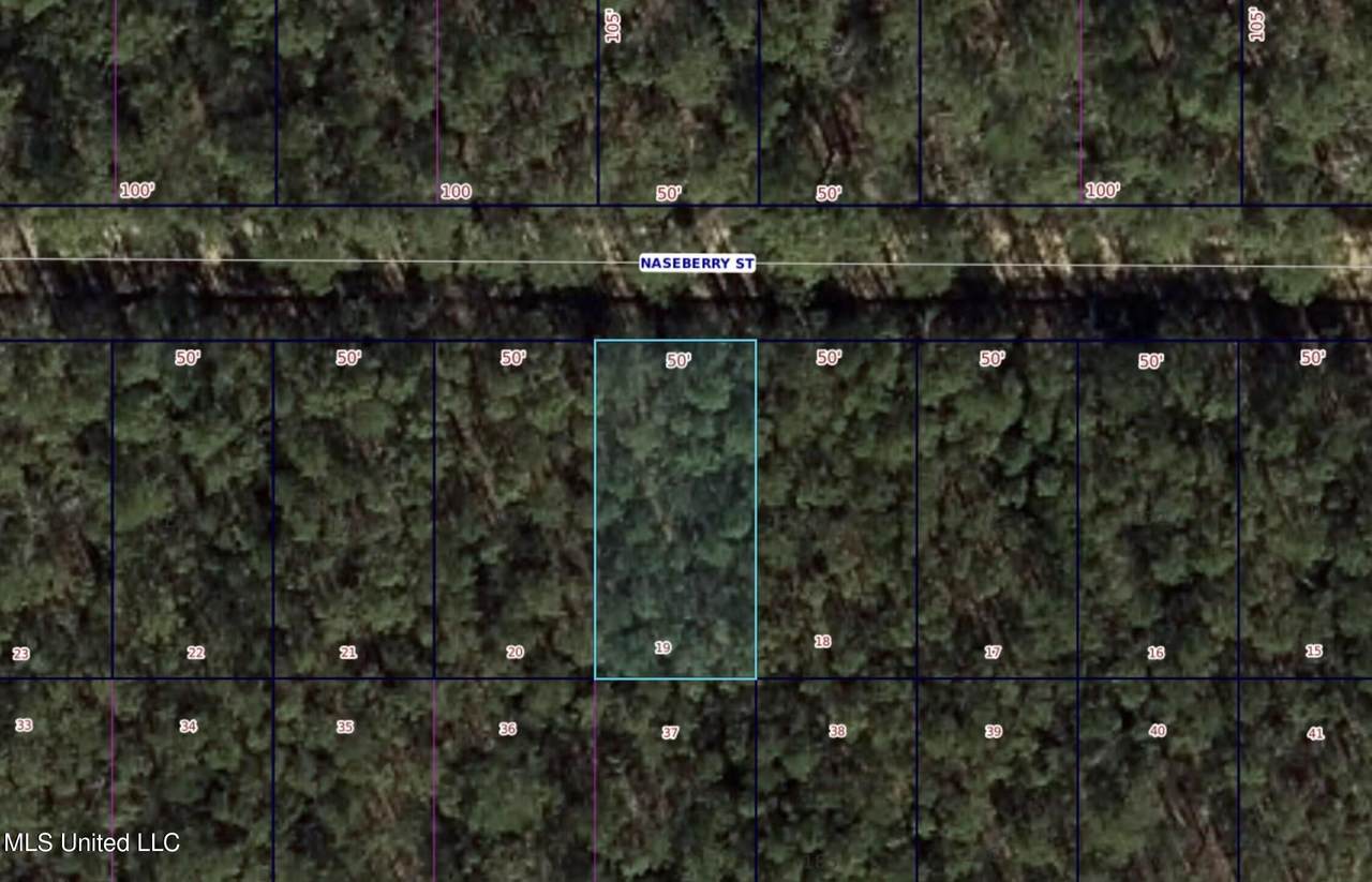 0 Naseberry Street - Photo 1