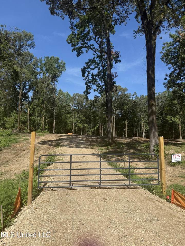 1375 Fogg Rd Road - Photo 1