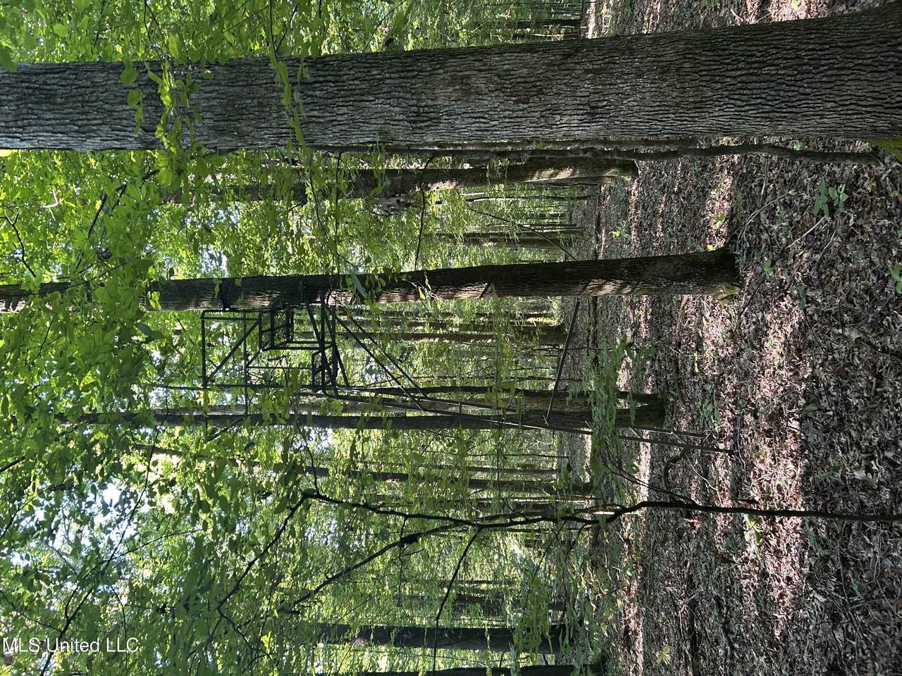  Avant Road - Photo 1