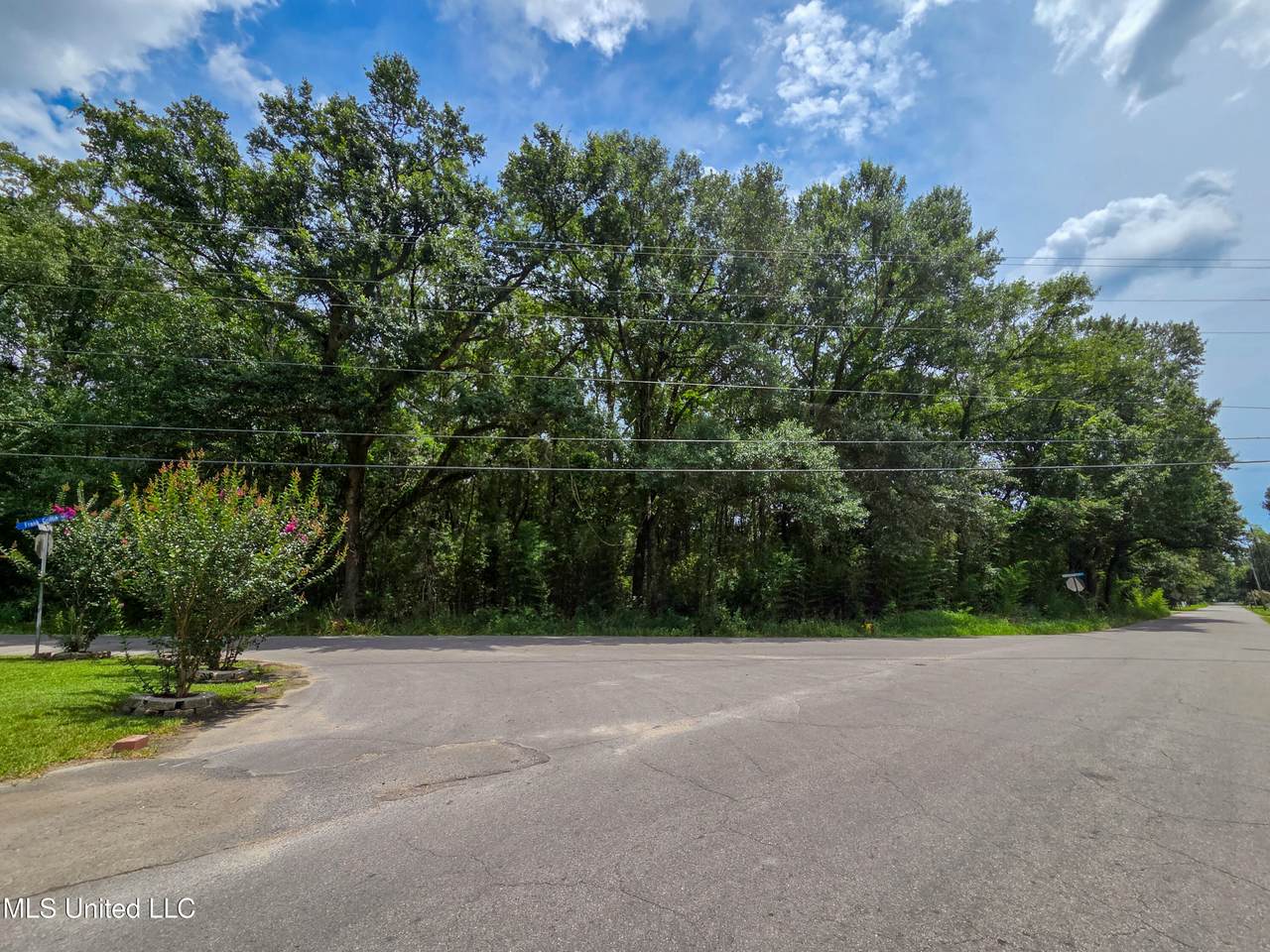  Frank Griffin Road - Photo 1
