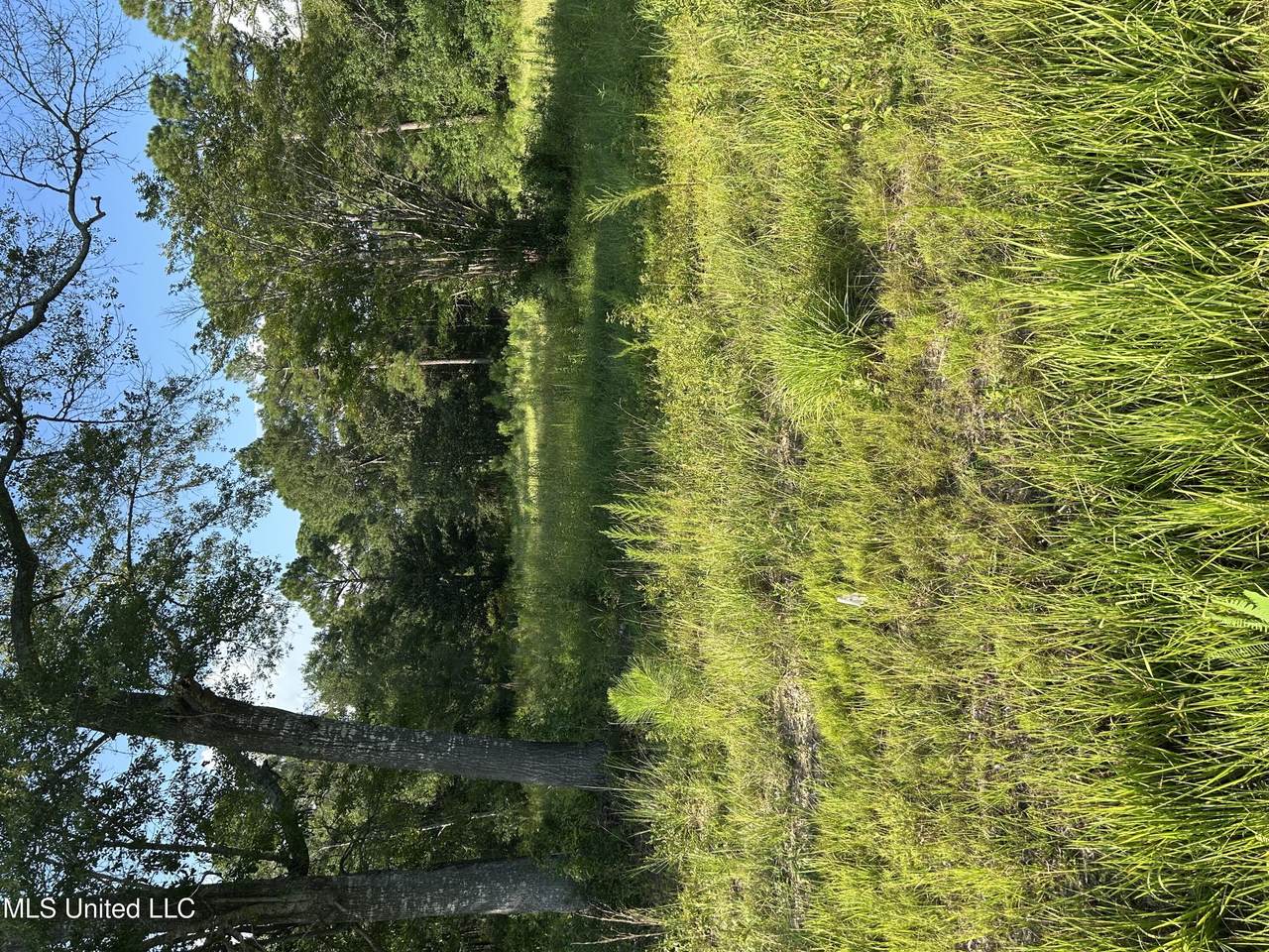 0 Woolmarket Road - Photo 1