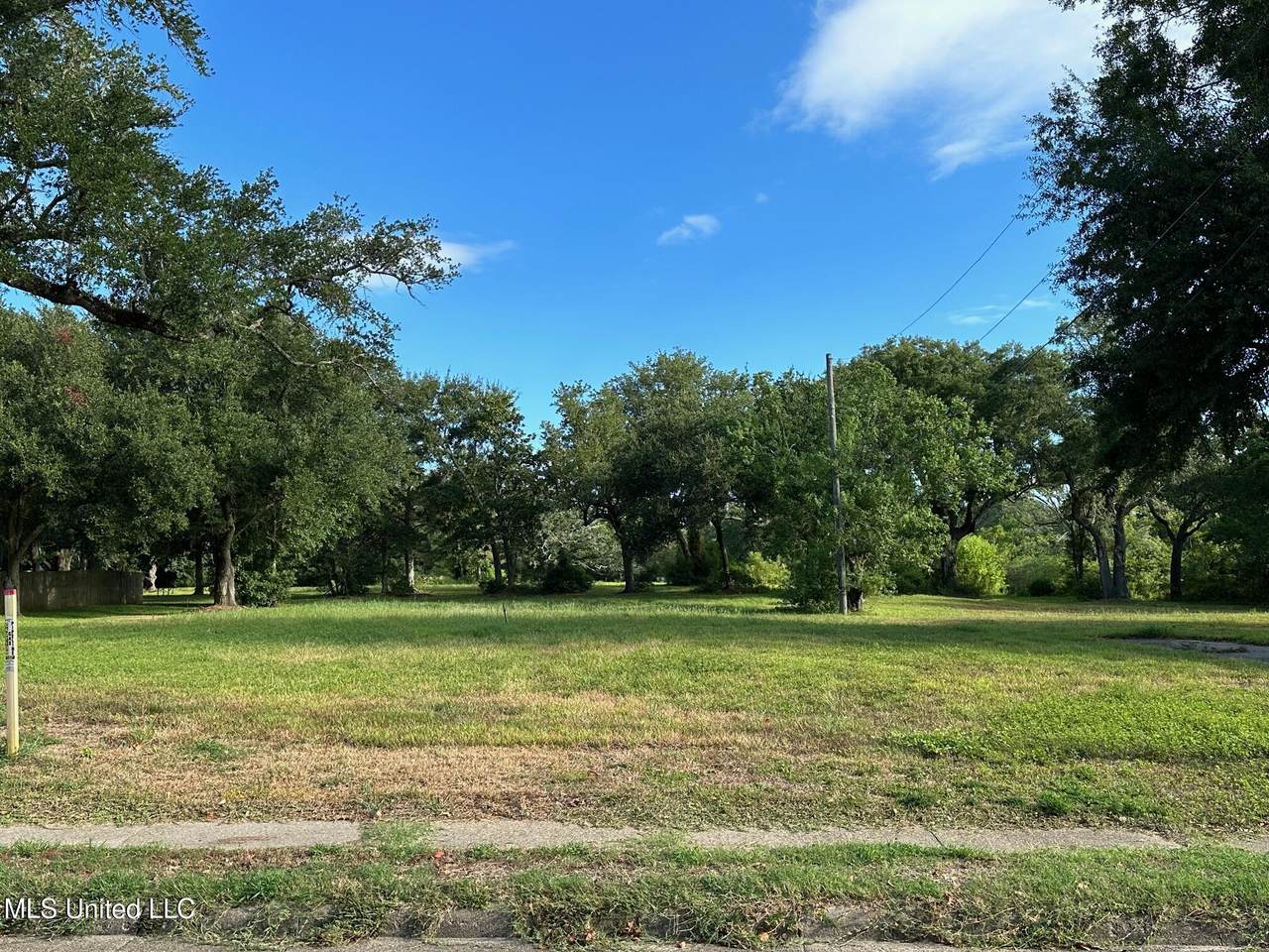 Washington Avenue - Photo 1