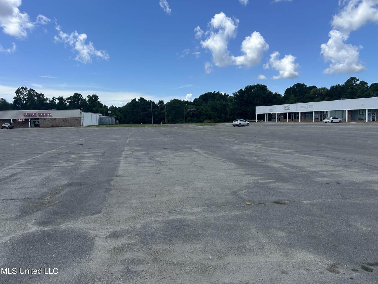 1441 Highway 90 - Photo 1