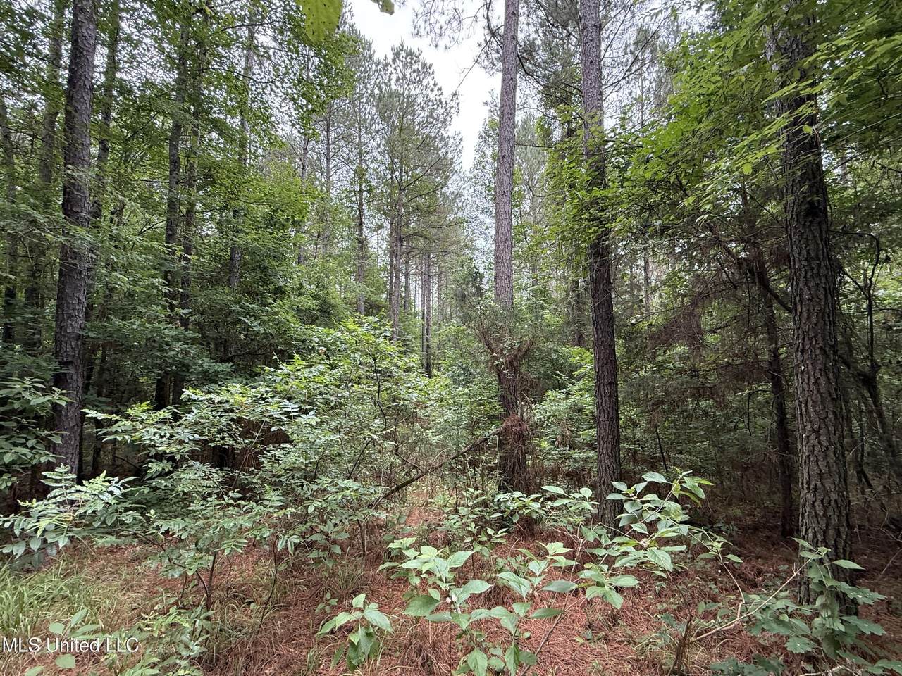 https://bt-photos.global.ssl.fastly.net/united/1280_boomver_1_4118892-2.jpg