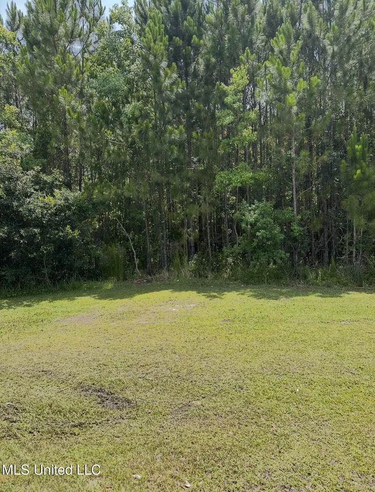 2108 Ladnier Road - Photo 1