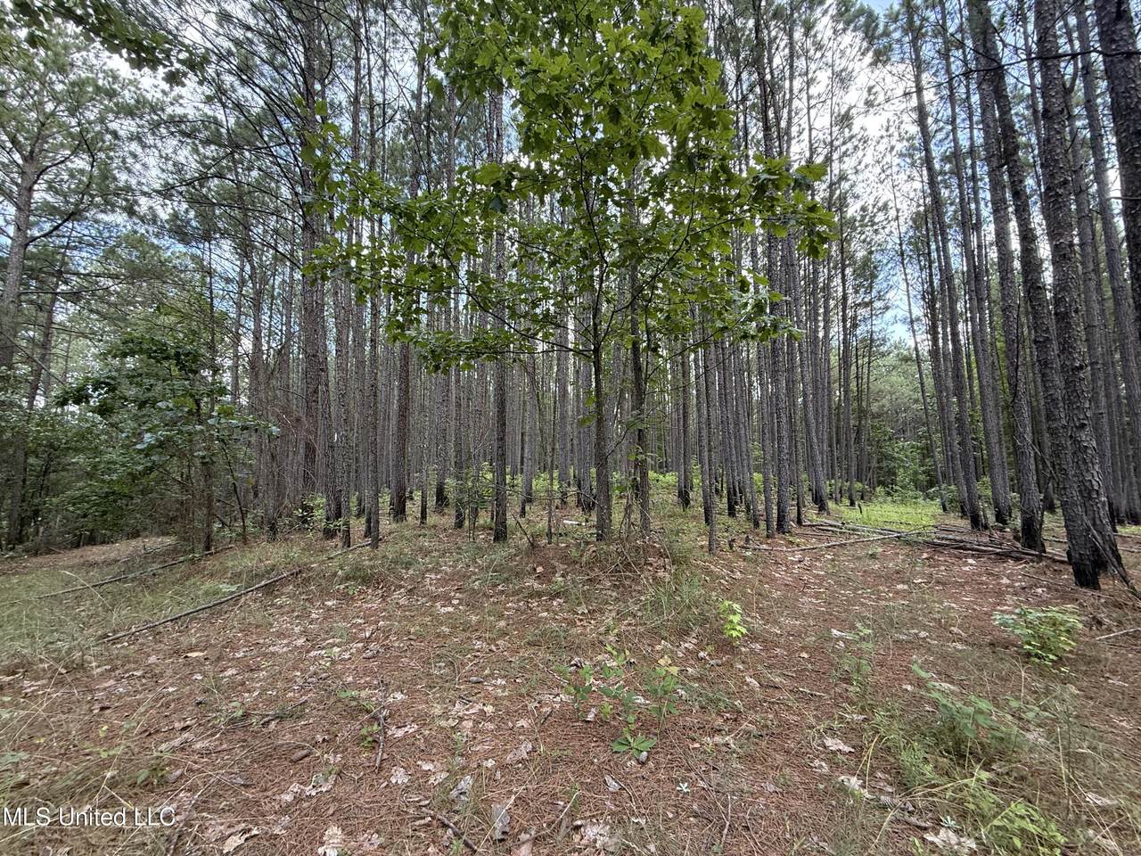  County Road 5204 - Photo 1