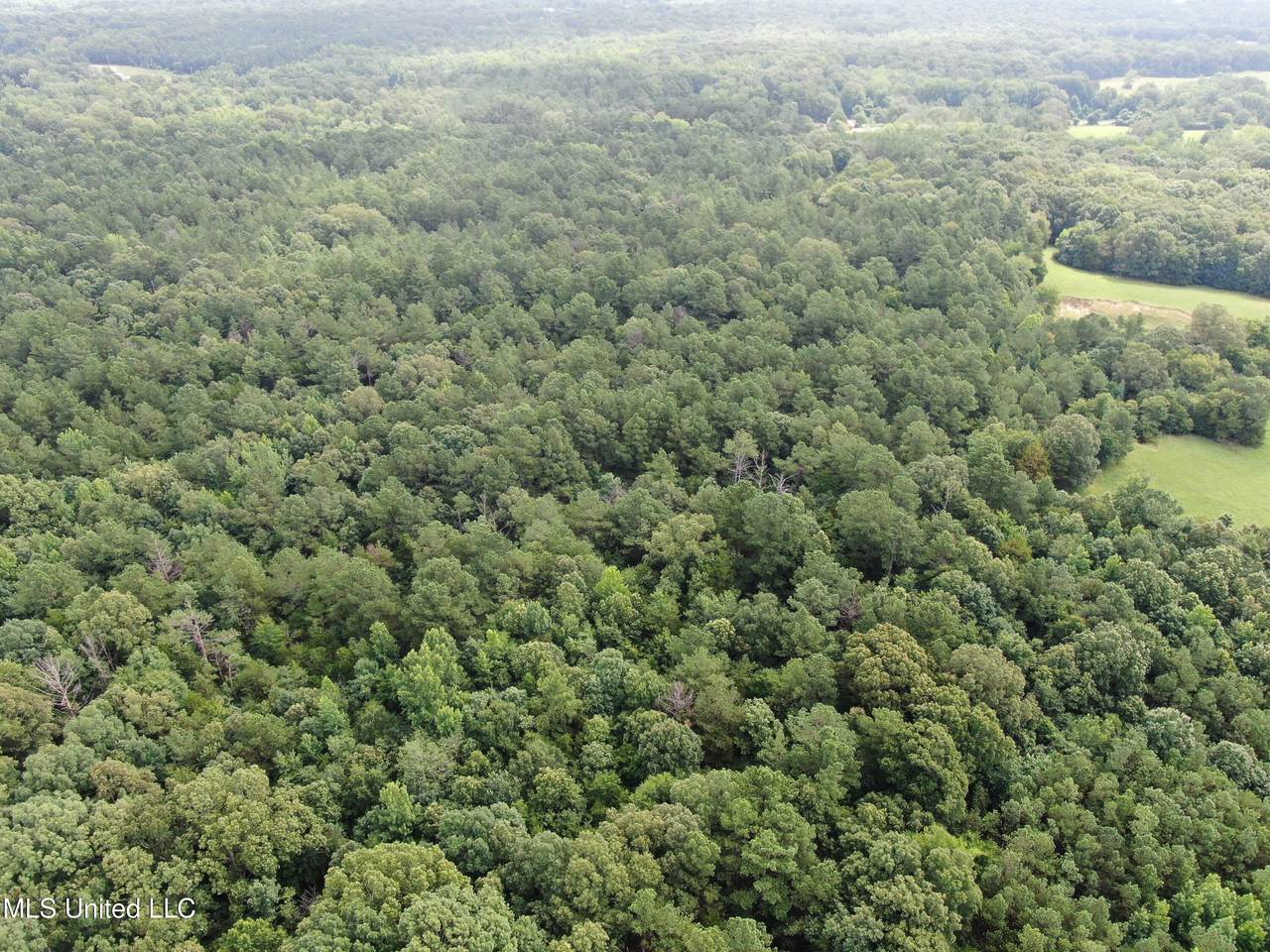 14495 Valley View - Photo 1