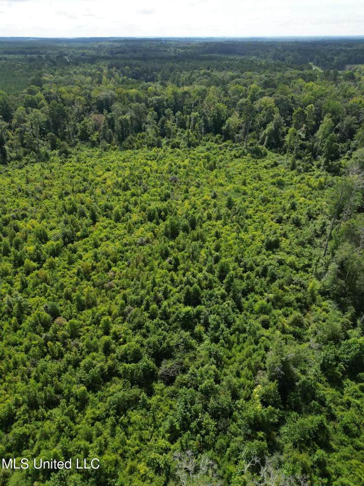 00 Johns Shiloh Road - Photo 1