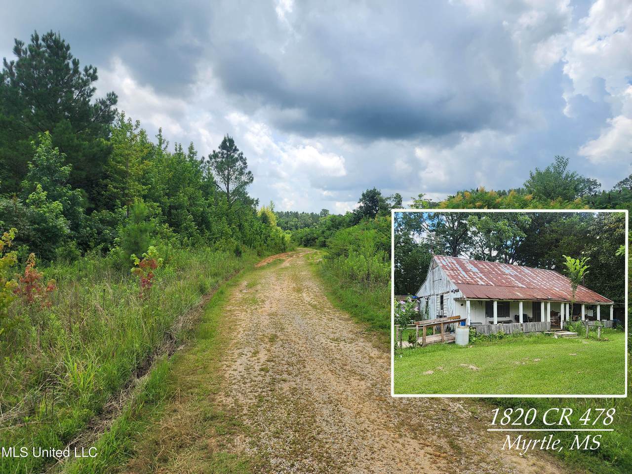 1820 County Road 478 - Photo 1