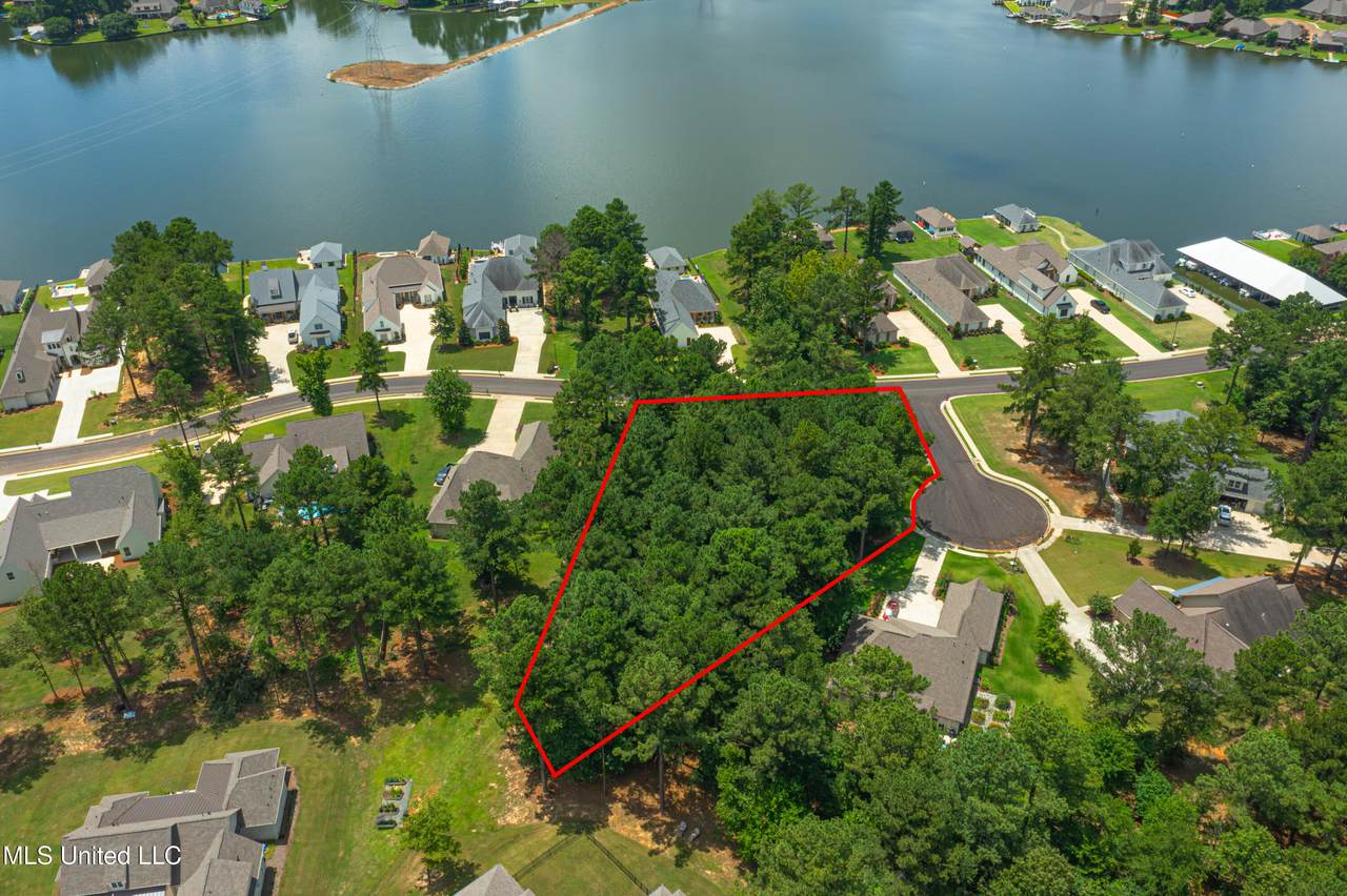  Coyote Cove - Photo 1