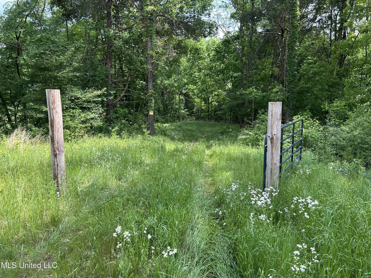 4315 Crockett Road - Photo 1