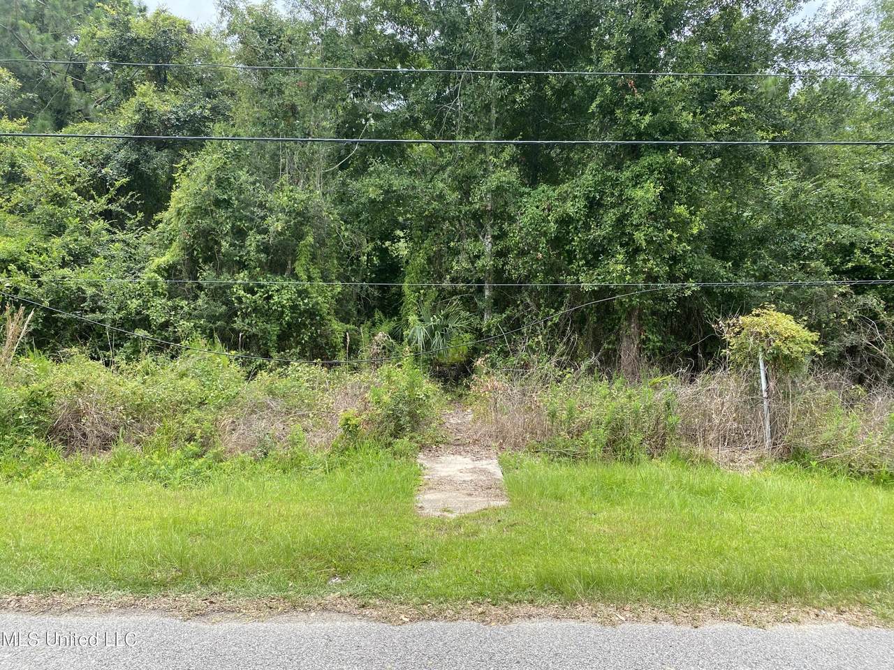 2055 Bienville Avenue - Photo 1