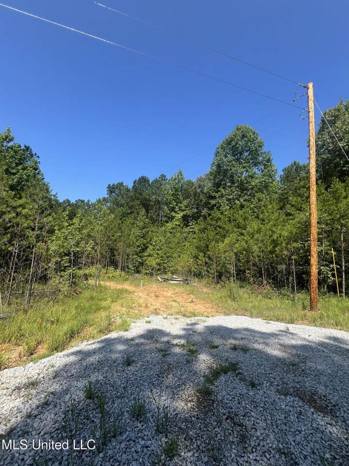 1141 County Road 172 - Photo 1