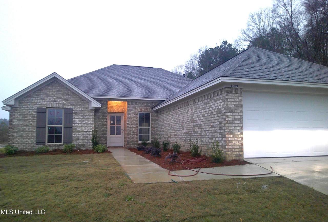 1009 Windrock Drive - Photo 1