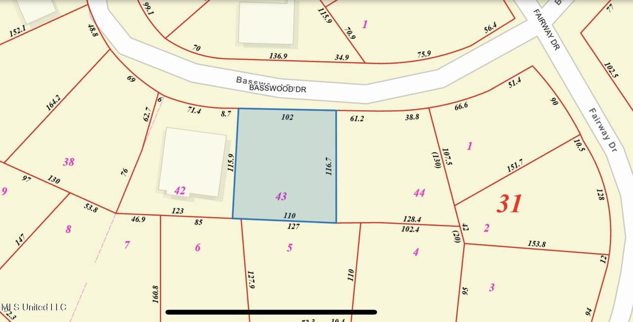  Basswood Drive - Photo 1