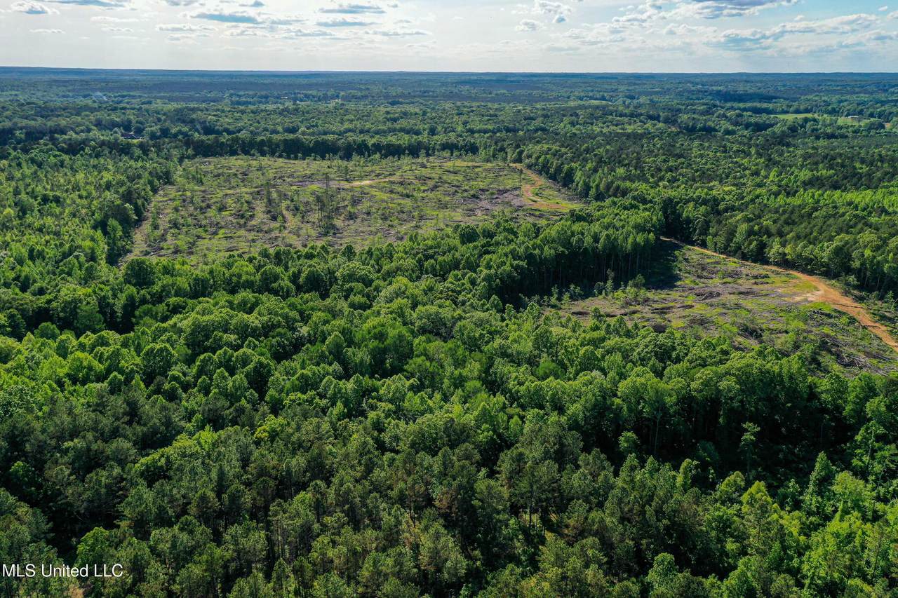 001 County Road 433 - Photo 1