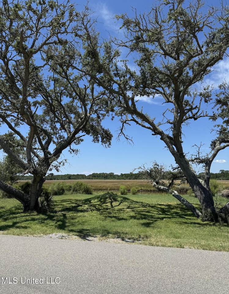 Lot 22 Belle Fontaine Drive - Photo 1